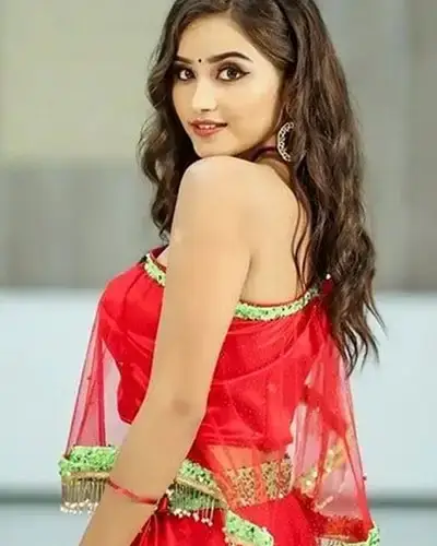 Call Girls Service Kagaznagar